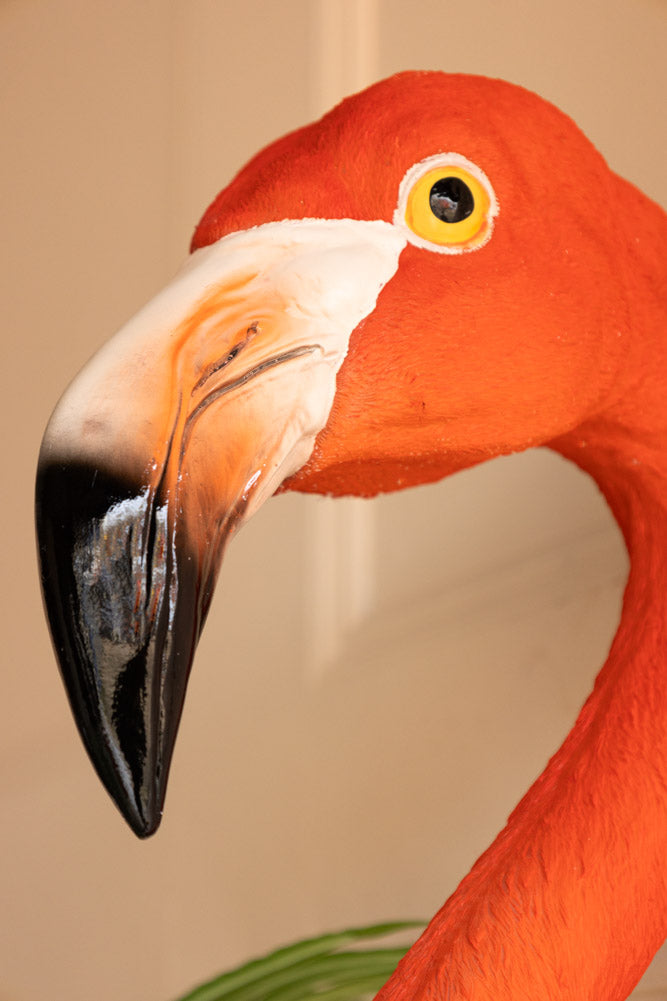 Grande tête de flamant rose artificielle murale