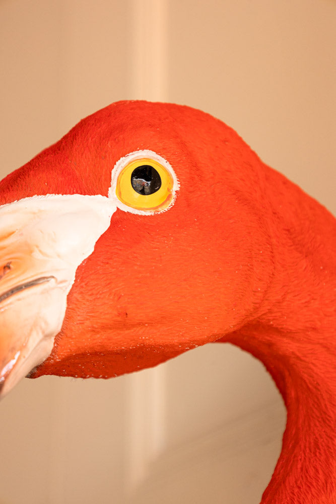 Grande tête de flamant rose artificielle murale