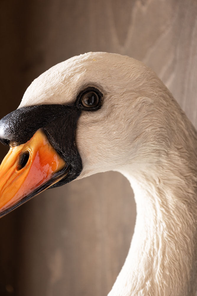 Grande décoration murale en fausse tête de cygne blanche