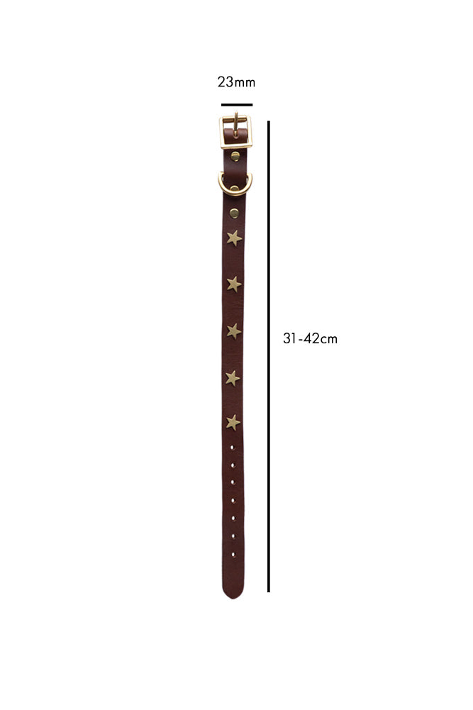 Collier pour chien en cuir marron avec étoiles - ÉCHANTILLON